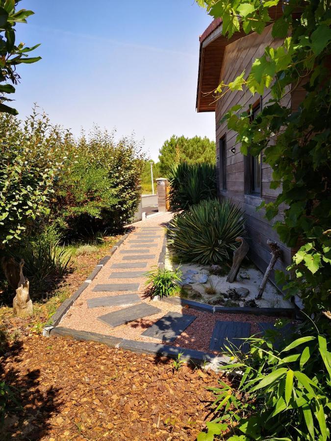 Vensac Ocean Montalivet Apartment Exterior photo